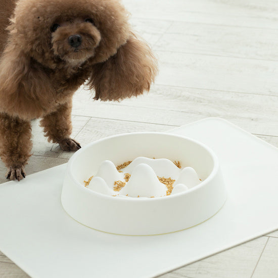 Plato Slow Feeder para Perros | Comedero Antiglotones