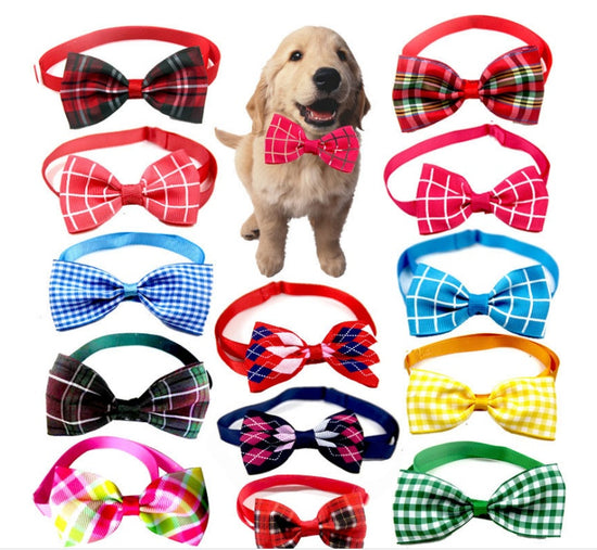 Bandana para Perros y Gatos | Accesorio Ajustable y Estilo Premium