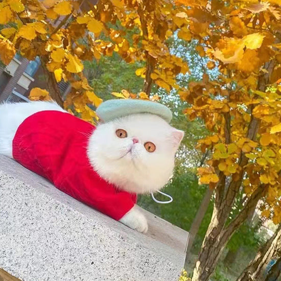 Localizador GPS para Mascotas – Seguridad y Control