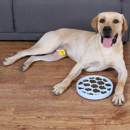 Plato Slow Feeder Tipo Panal | Comedero Antiglotones para Perros
