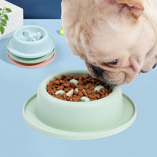 Plato Antiahogo para Perros | Comedero Slow Feeder Antiglotones